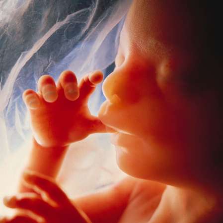 Je možné, že naše rané zážitky, jako jsou ty z těhotenství, porodu a kojeneckého období, jsou uloženy v našem neuvěřitelném a rychle se vyvíjejícím mozku, v našich buňkách a možná i v naši DNA. FOTO archiv