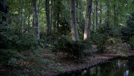 V pozadí běží "nekonečný" videozáběr krásného, kultivovaného parku s říčkou. FOTO archiv