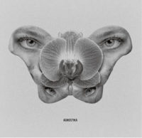 ddr-agnostika-album-co_fmt