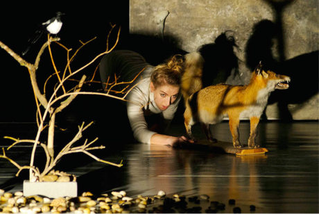 Untitled – solo performance inspirovaná dílem fotografky Francescy Woodman (premiéra 10. prosince 2012)  FOTO SAMO TRNKA