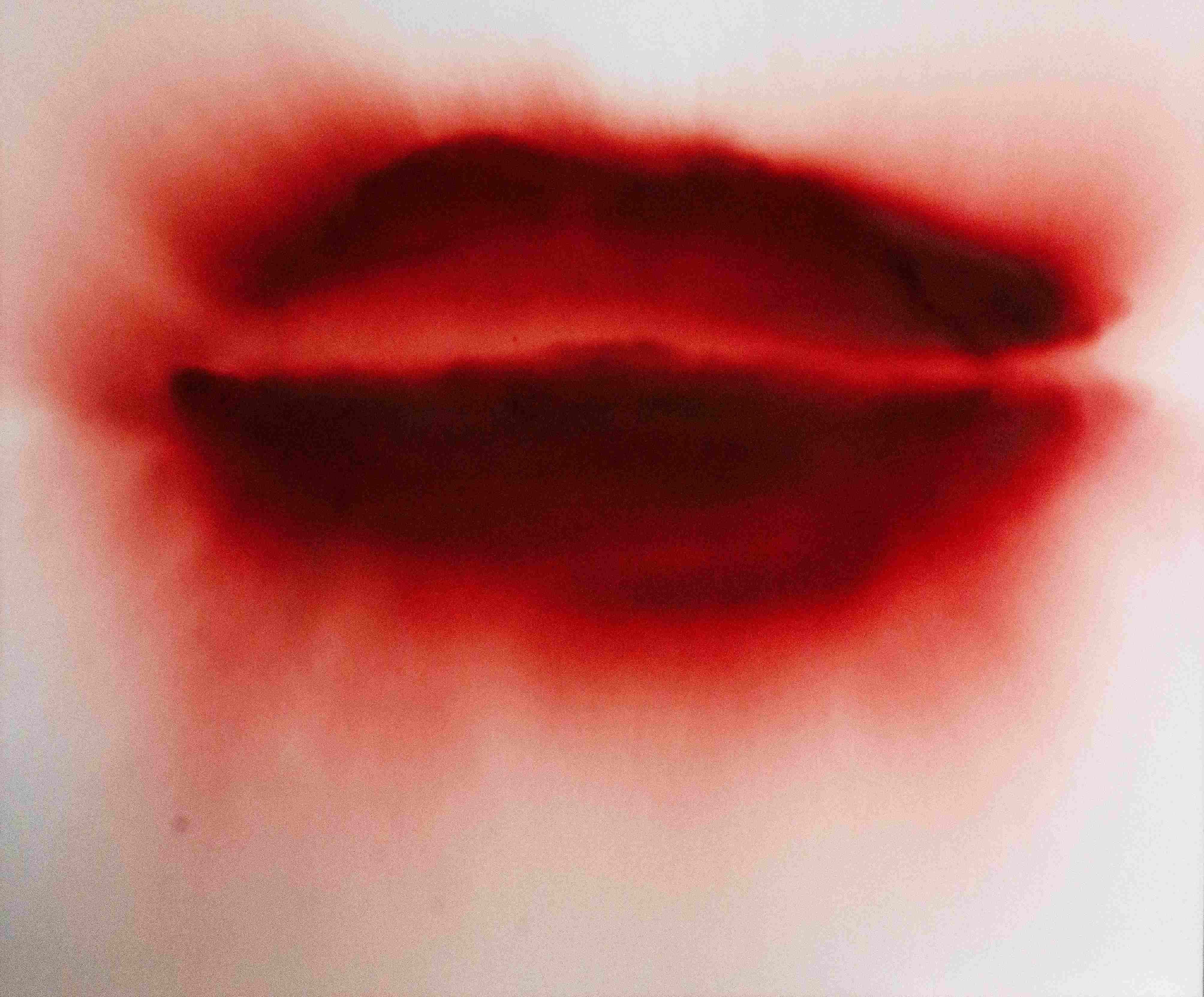 Magdalena Jetelová: Mouth