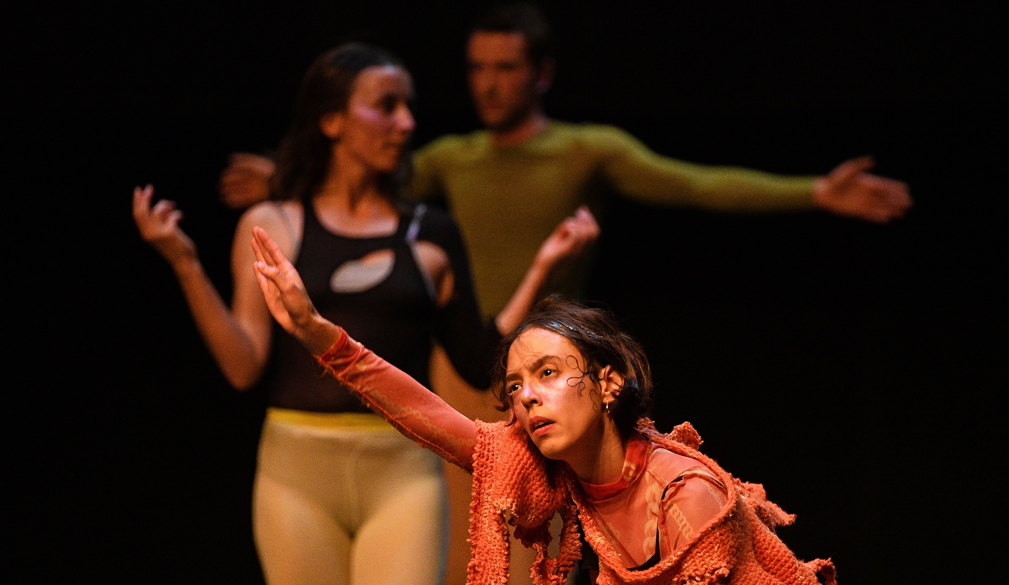 Sonja Pregrad, projekt O  