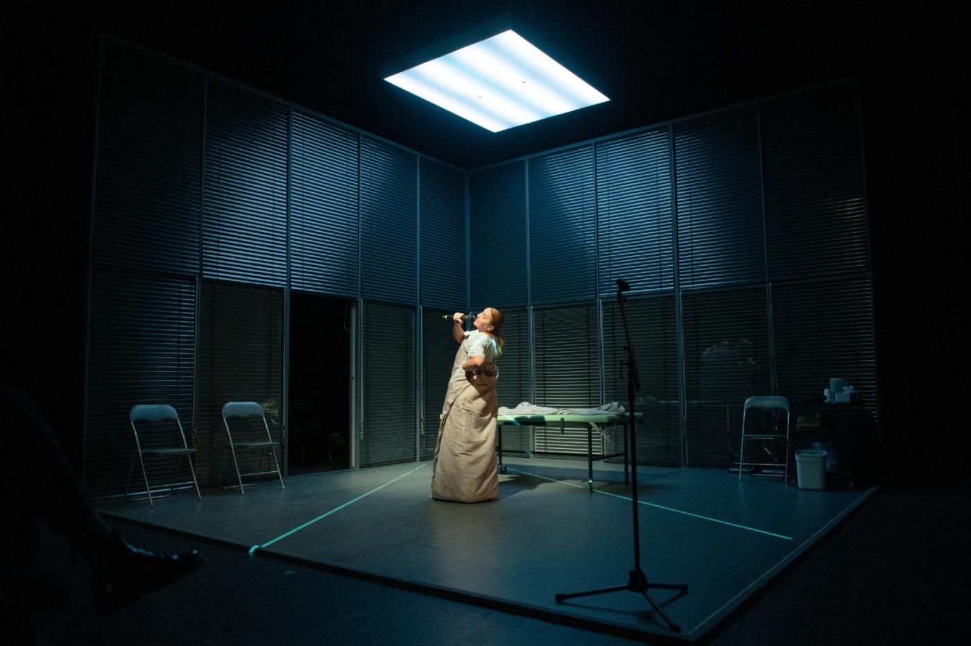 Apolena Veldová v inscenaci Vtip