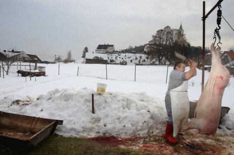 Kdeže vám konec ó ach / řezníci mého mládí... FOTO JAN LANGER