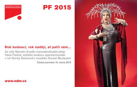 pf-2015-NDM