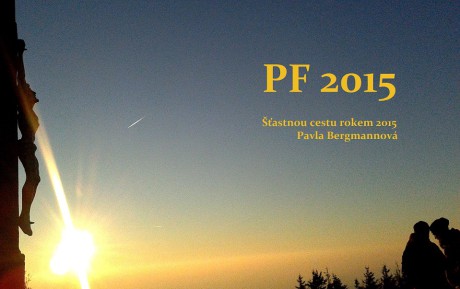 pf 2015-bergmannova