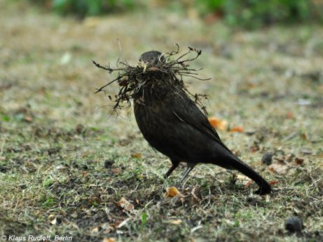 Knihu vypráví nákupní vozík. Pááááíííí… FOTO KLAUS RUDOLFF